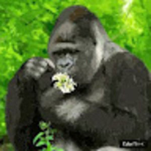 Meet your Posher, Ruth